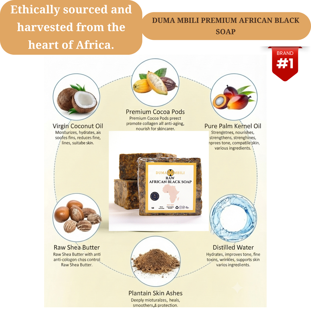Authentic African Black 